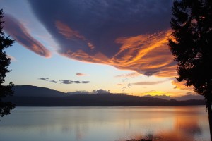 Sequim Real Estate