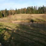 Sequim Farm