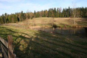 Sequim Farm