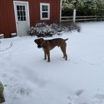Snow in Sequim